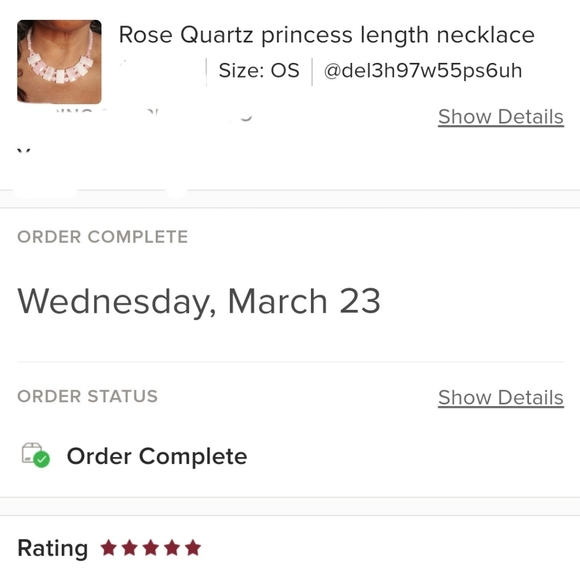 Rose Quartz 18-20in necklace in Stainless Steel - Picture 3 of 11